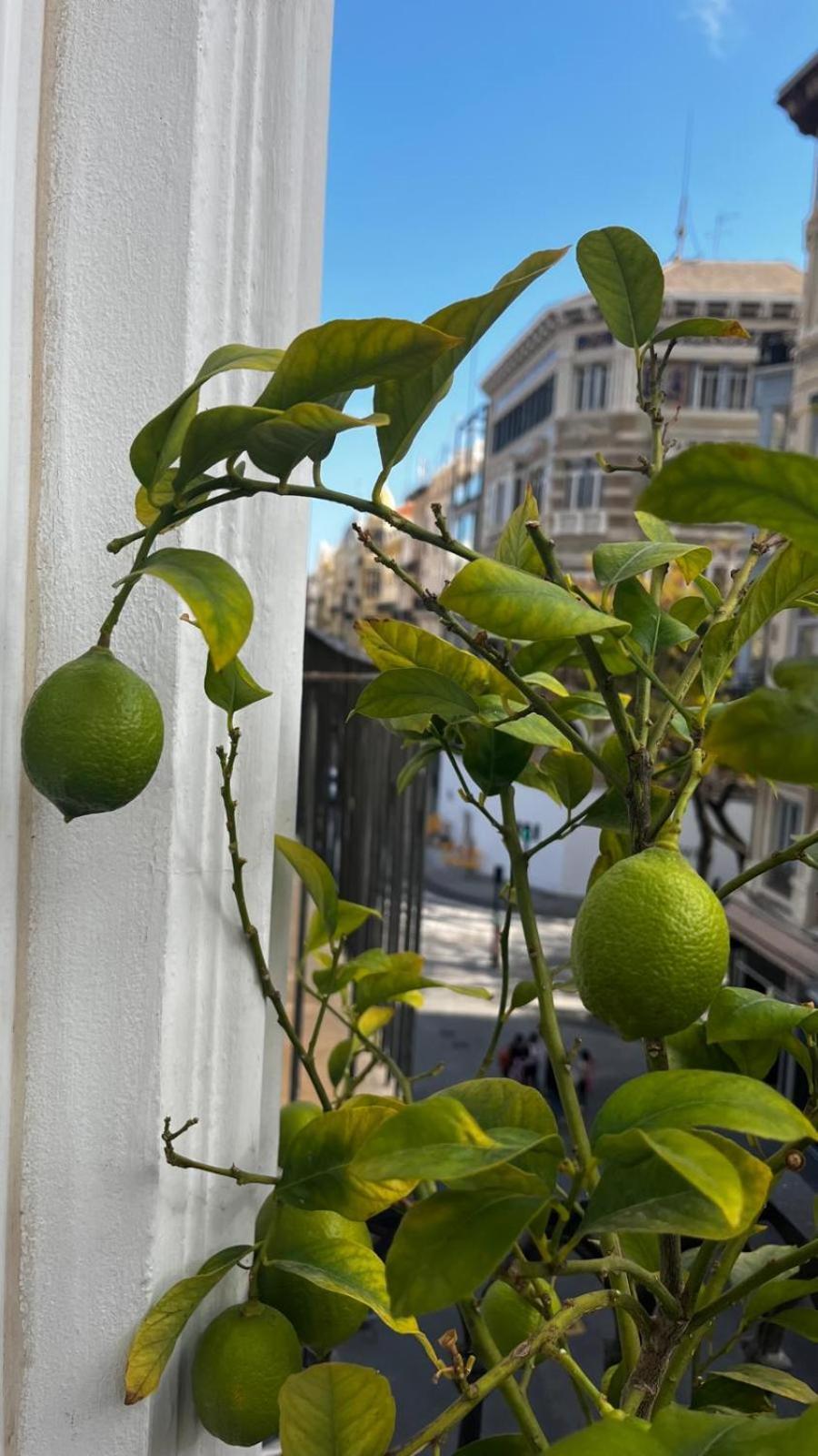 Hotel El Siglo Валенсия Екстериор снимка